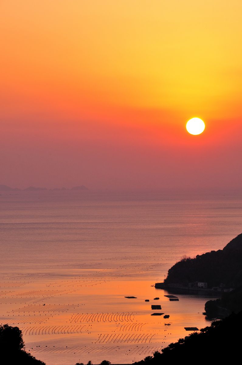 宇和海（愛媛県）