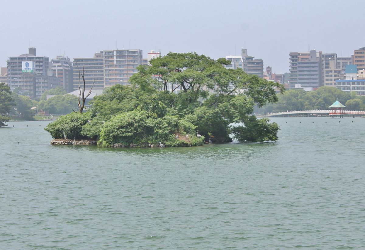 大濠公園（福岡県）