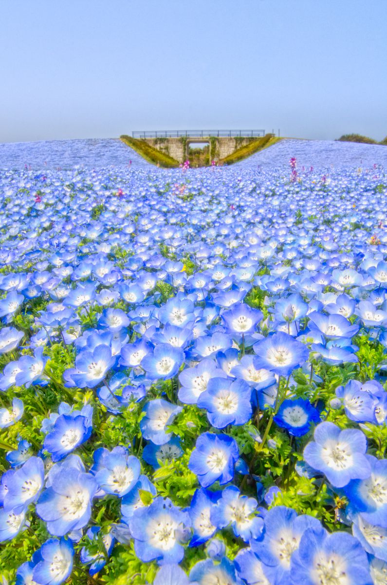 海の中道海浜公園