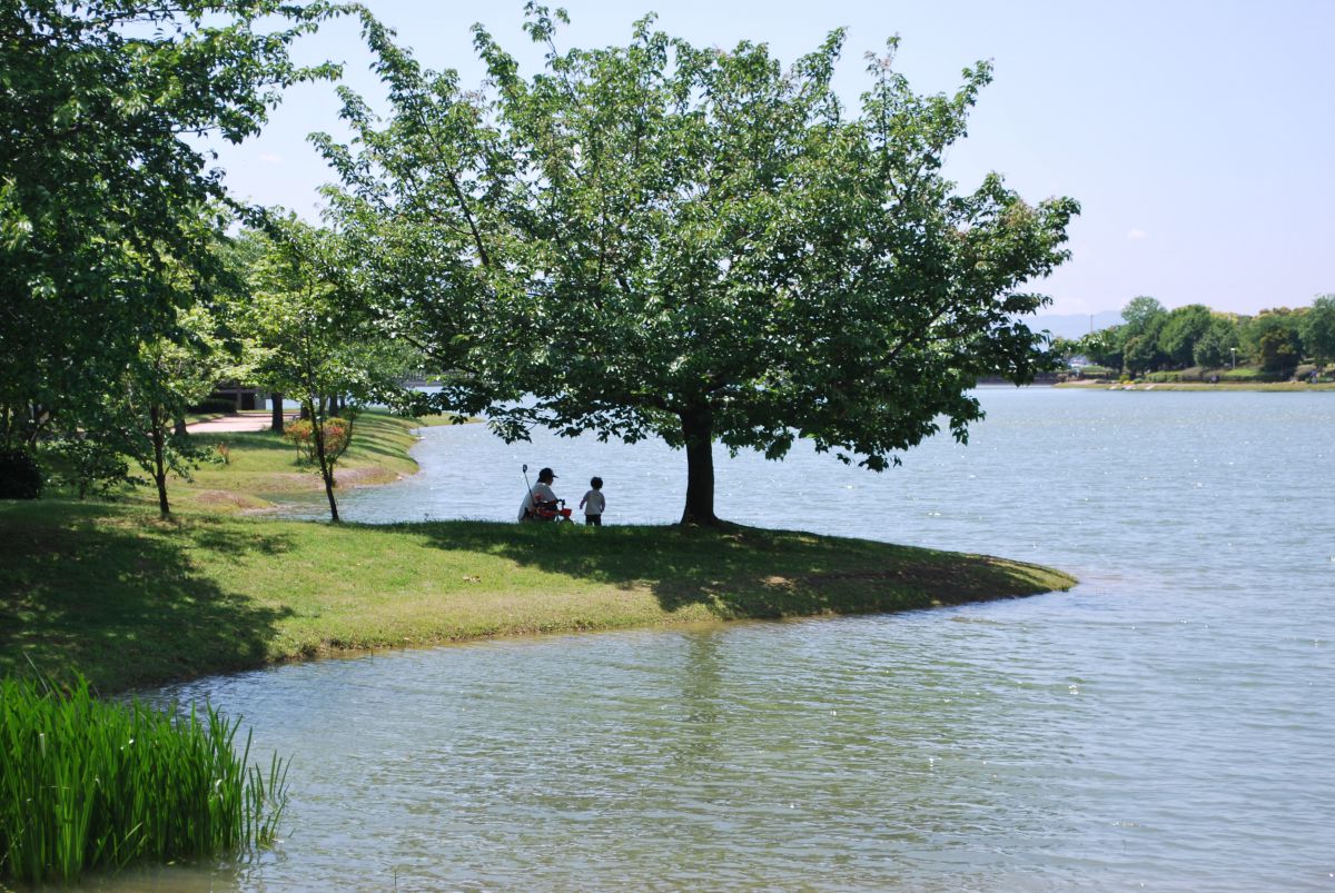 駕与丁公園