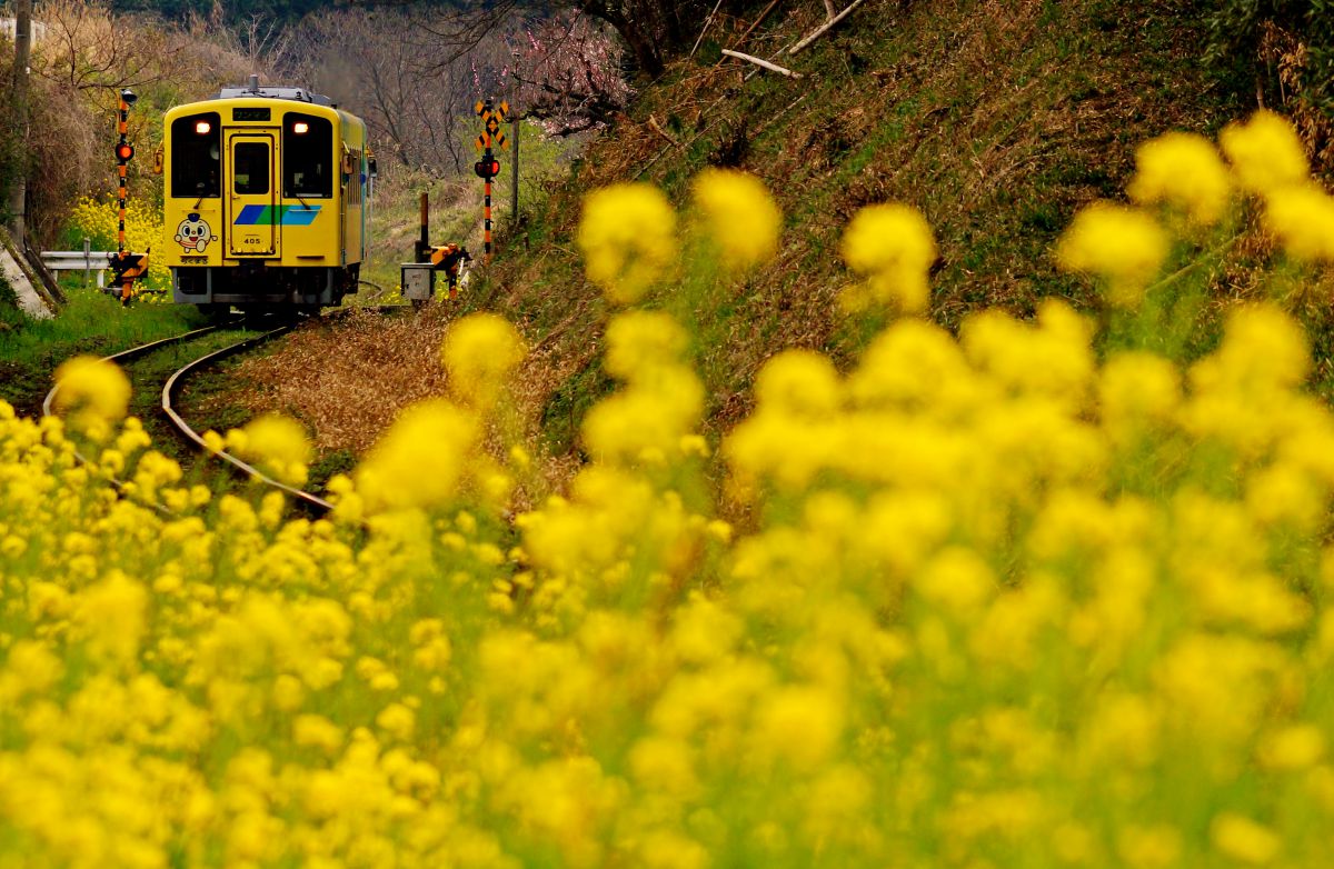 平成筑豊鉄道（福岡県）