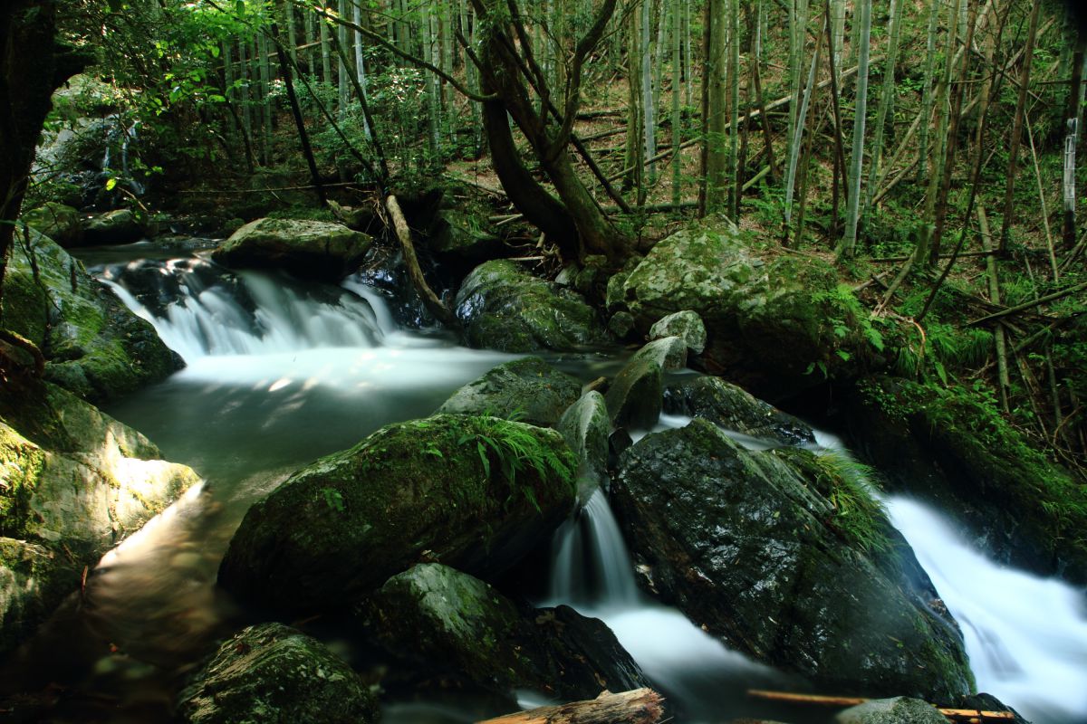 野河内渓谷（福岡県）