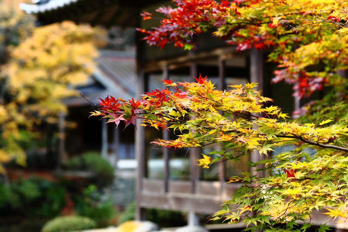 雷山千如寺大悲王院