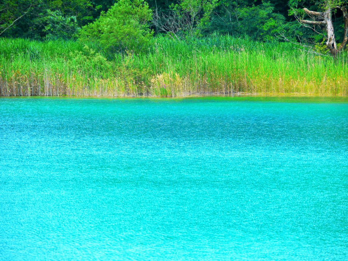 五色沼（福島県）