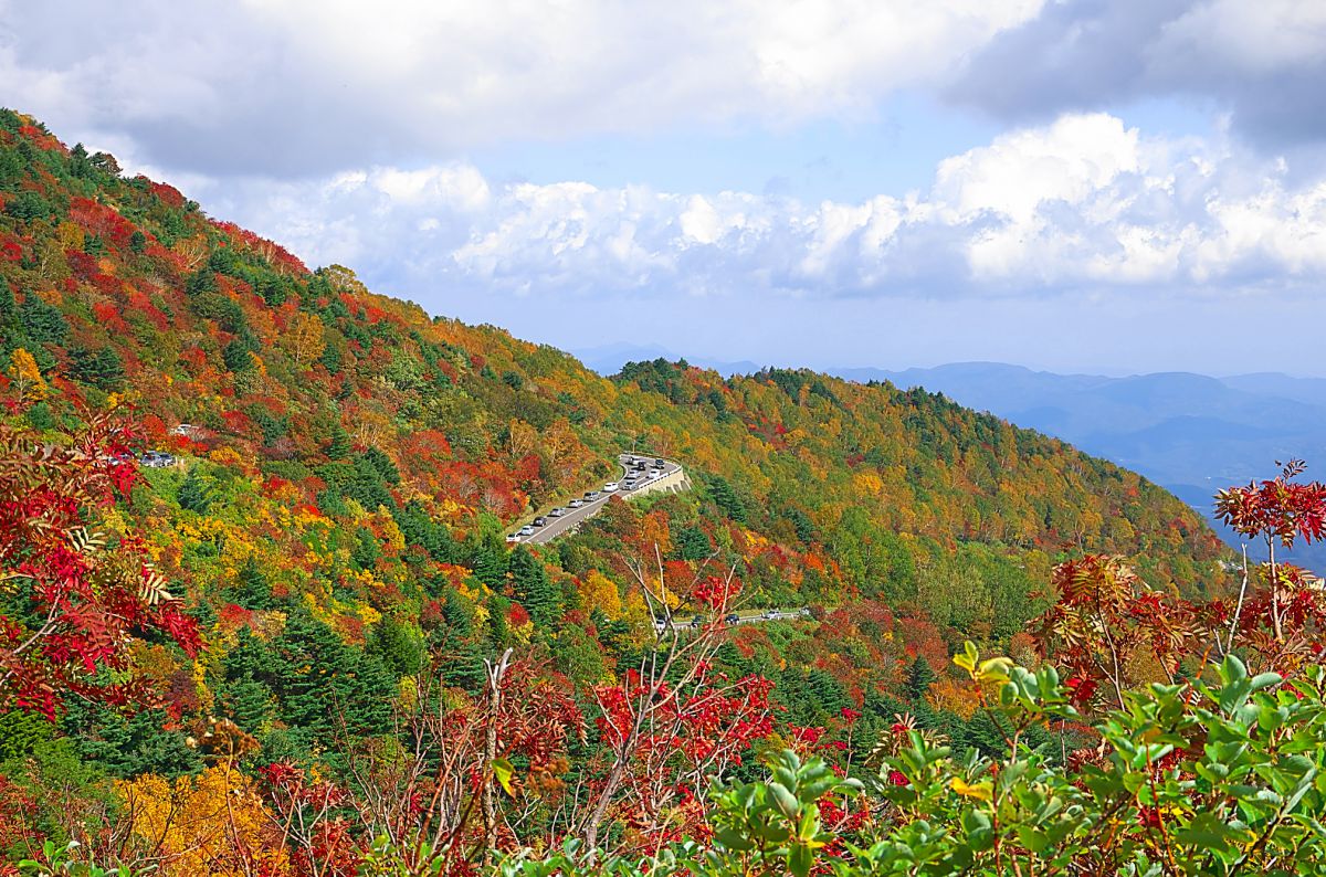 磐梯吾妻スカイライン（福島県）