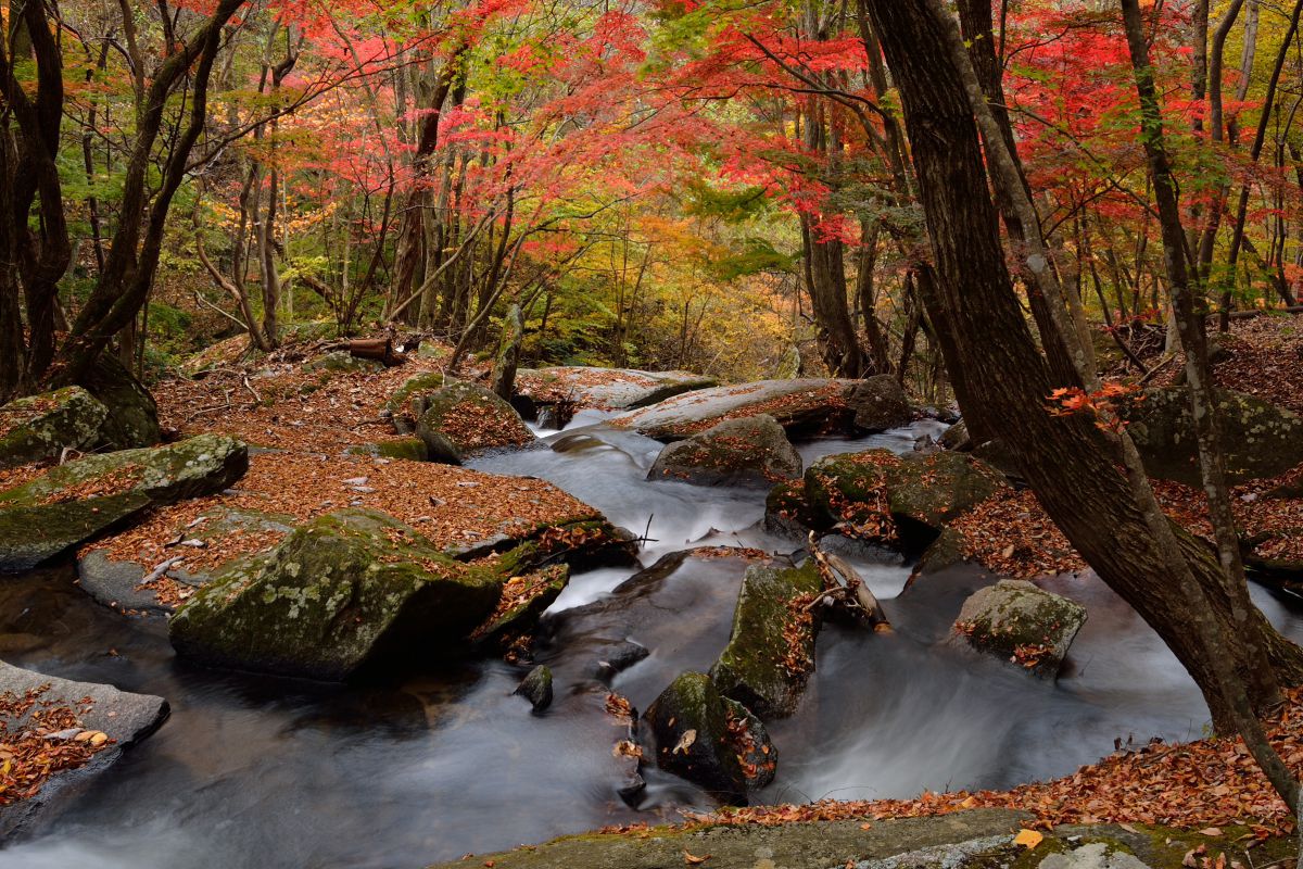 滝川渓谷（福島県）