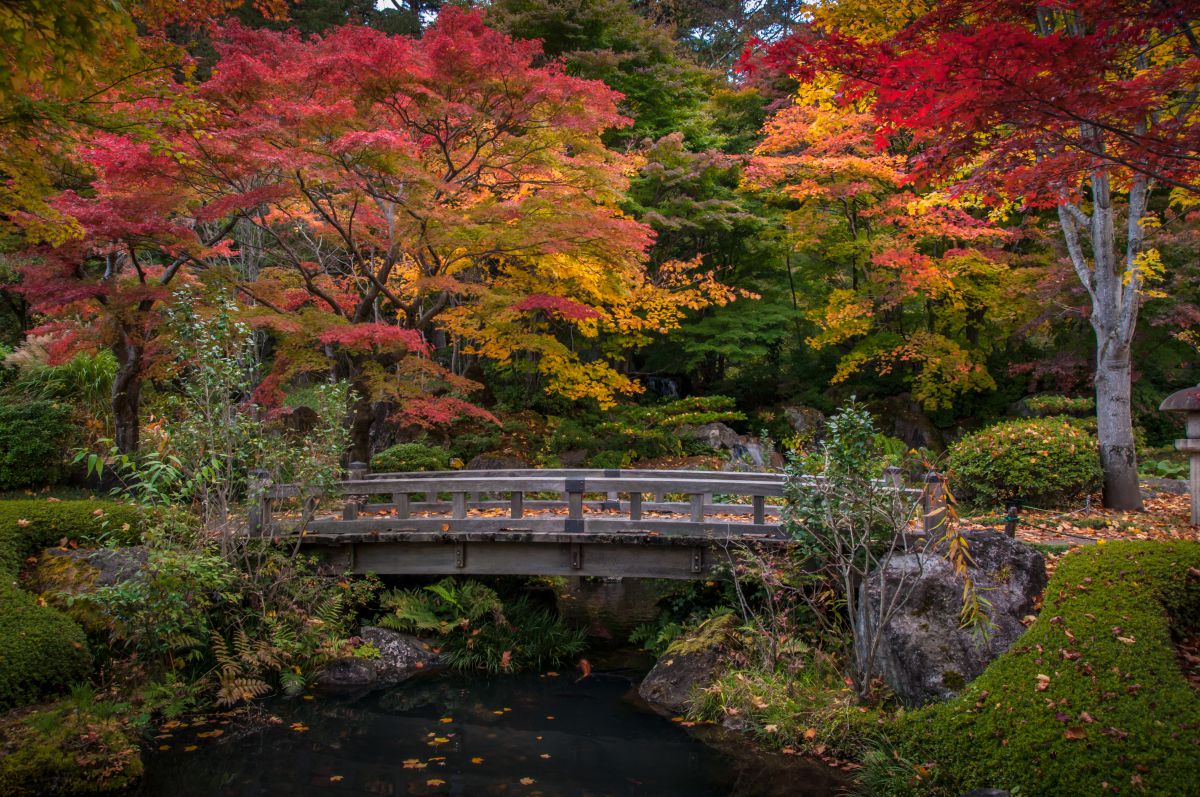 南湖公園（福島県）