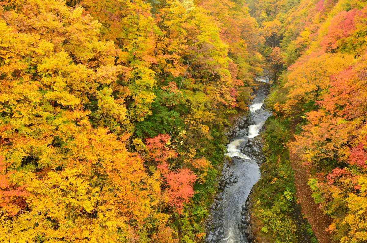 福島　中津川渓谷（福島県）