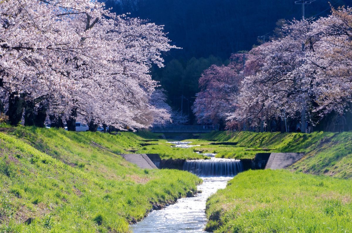 福島　観音寺川（福島県）