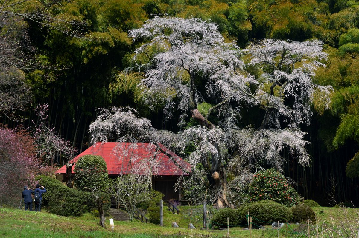 雪村庵（福島県）