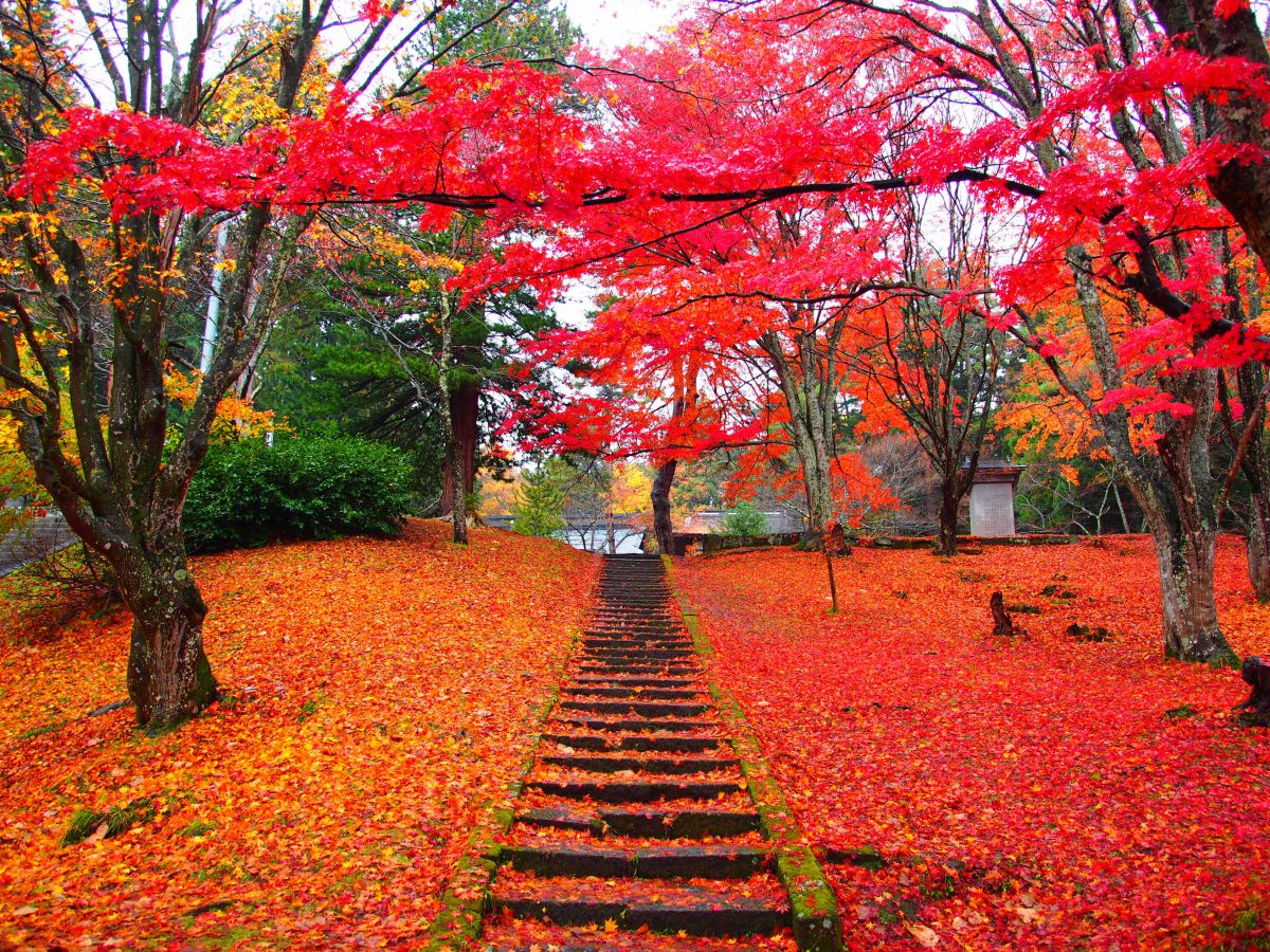 土津神社