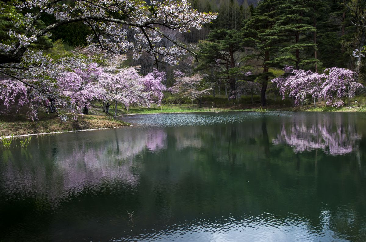 半田山自然公園（福島県）