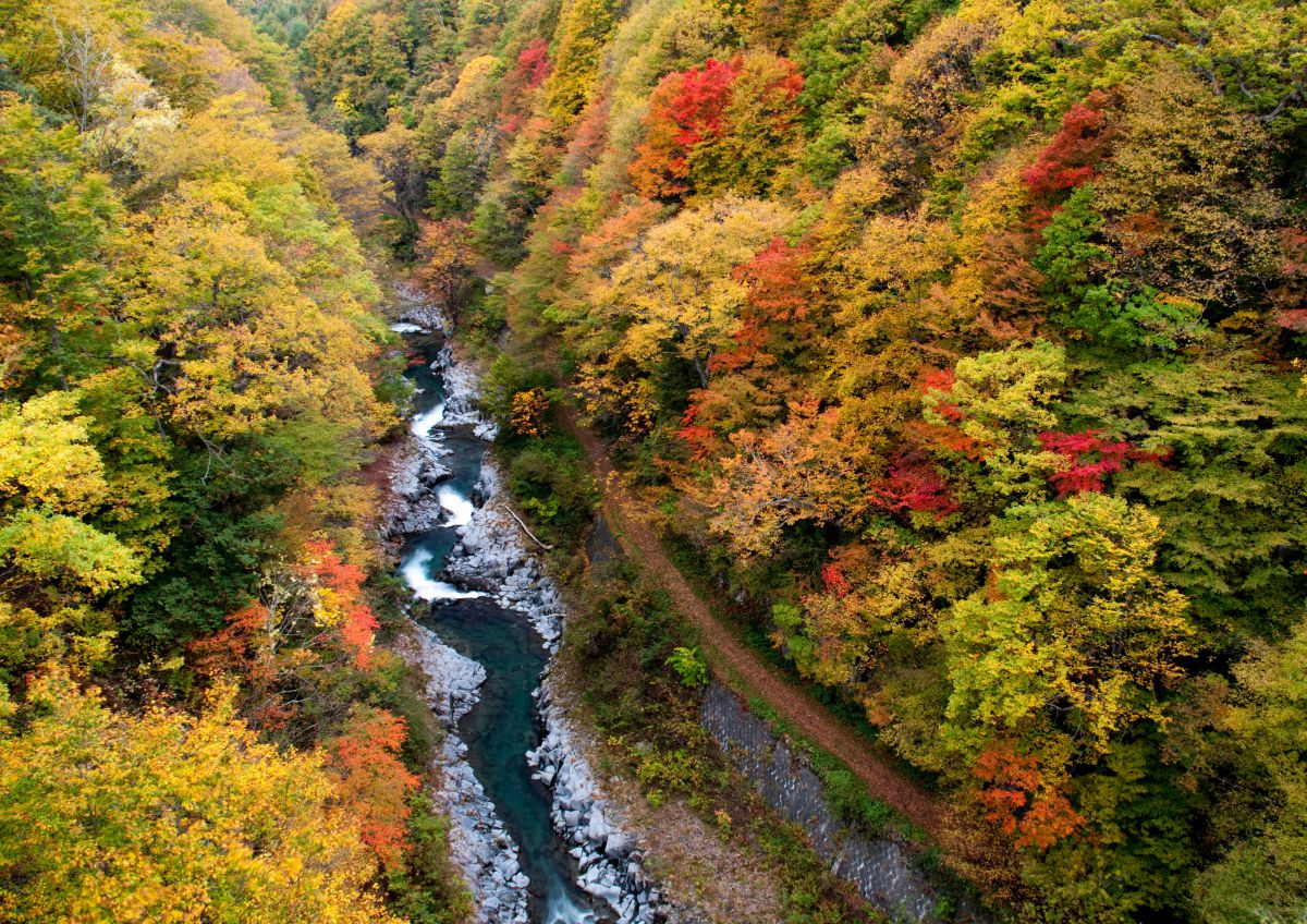 磐梯吾妻レークライン（福島県）