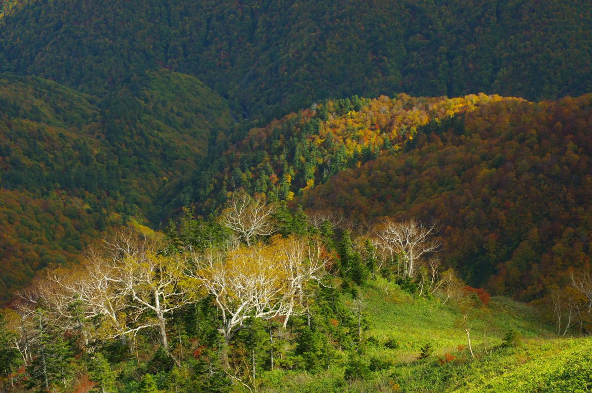 三岩岳（福島県）