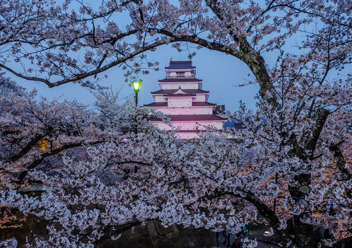 若松城