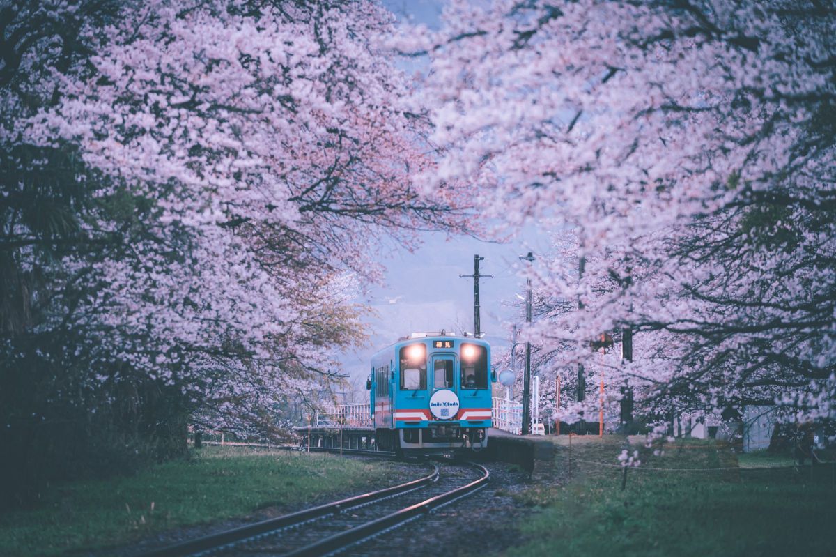 樽見鉄道（岐阜県）