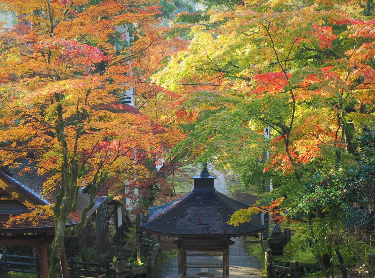 華厳寺（岐阜県）