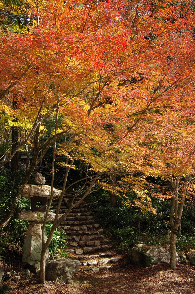 大矢田神社（岐阜県）