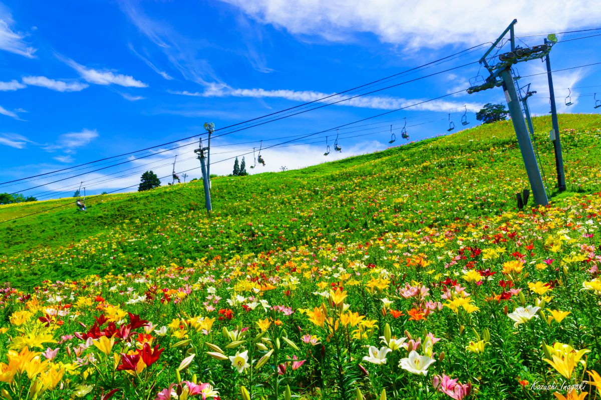 ダイナランド（岐阜県）