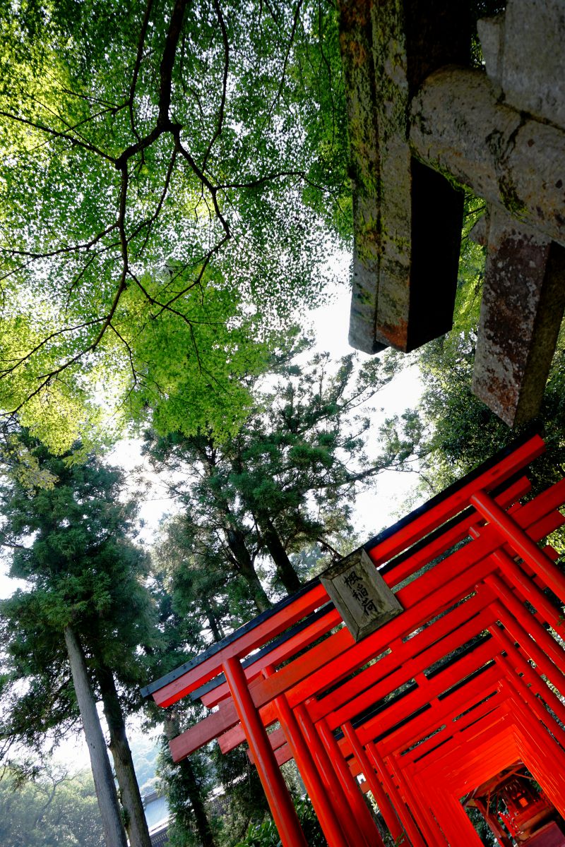 伊奈波神社