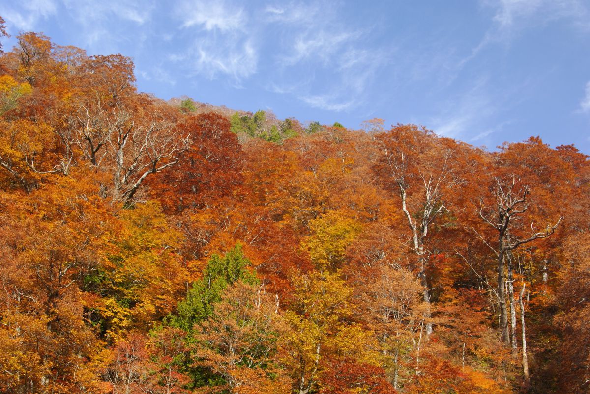 天生峠