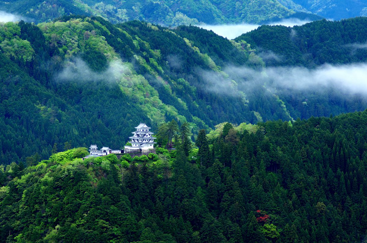 郡上八幡城（岐阜県）