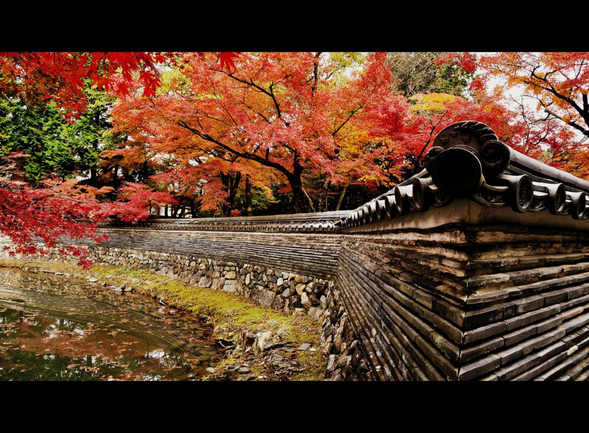 虎渓山永保寺