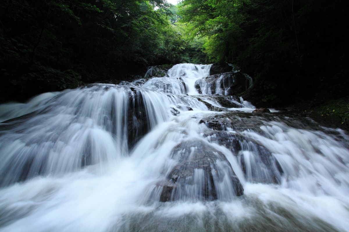 魚止めの滝