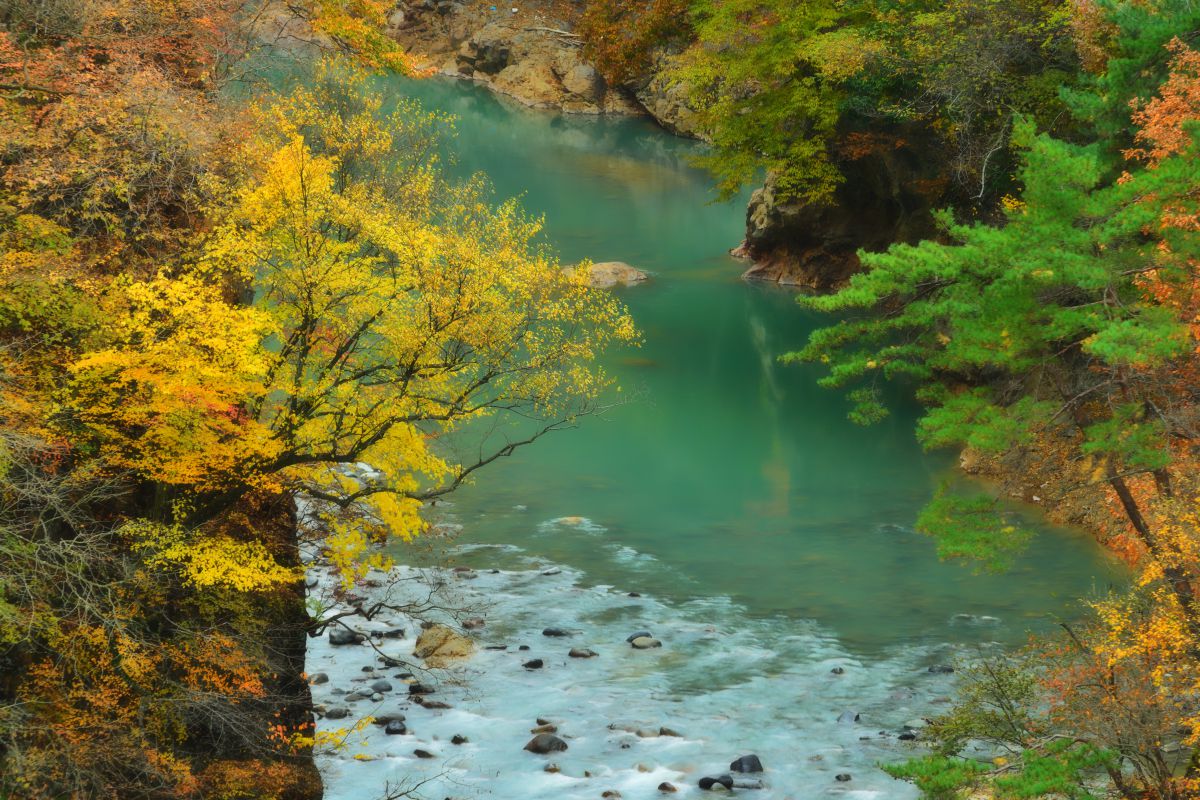 吾妻渓谷（群馬県）