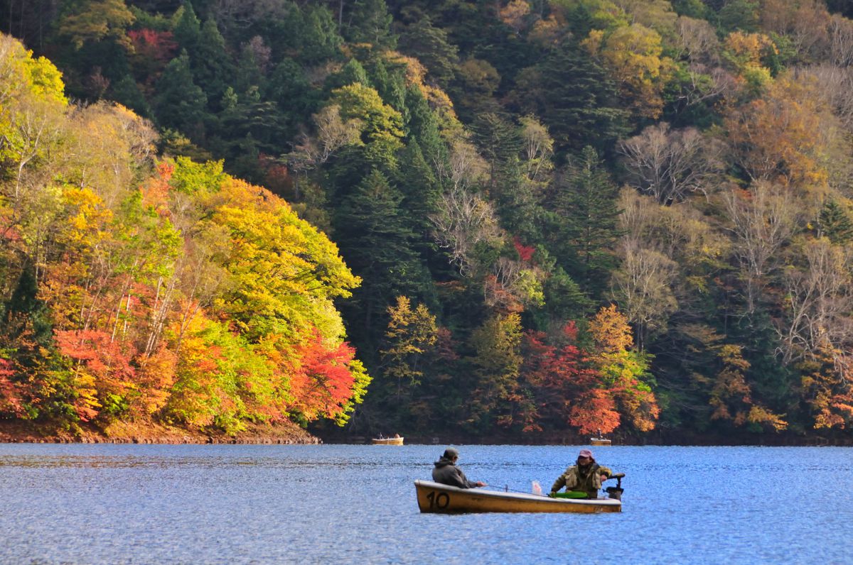 丸沼（群馬県）