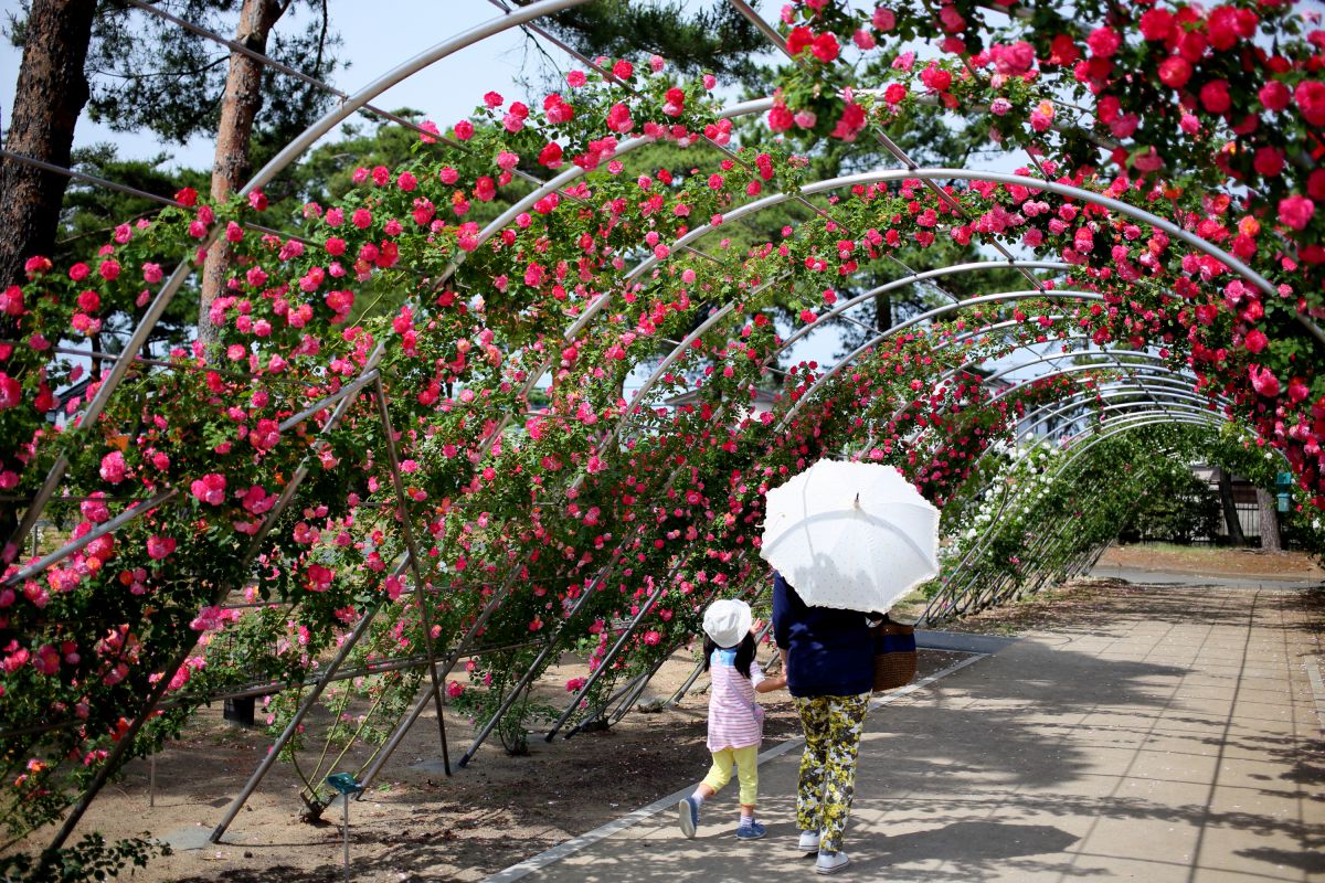 敷島公園（群馬県）