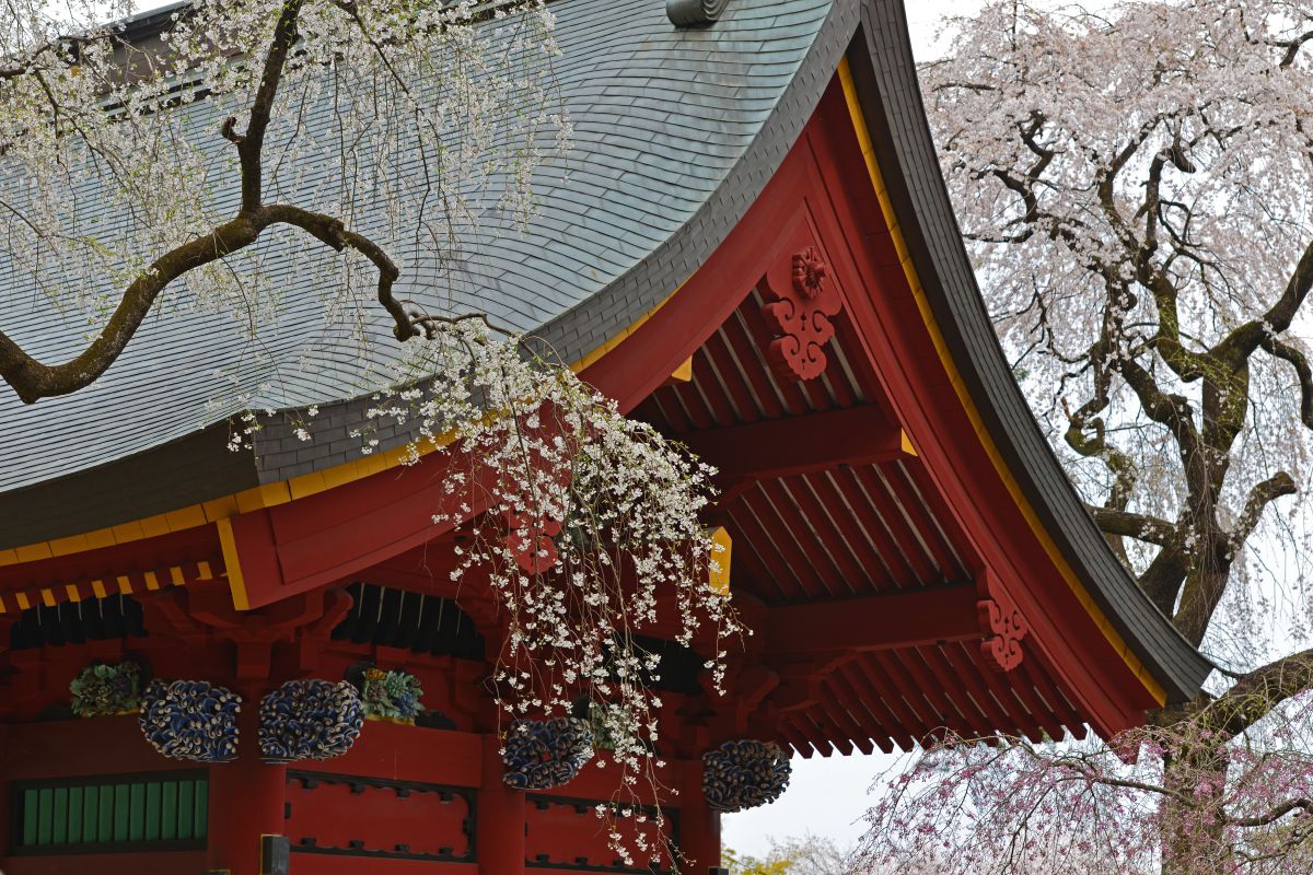 妙義神社