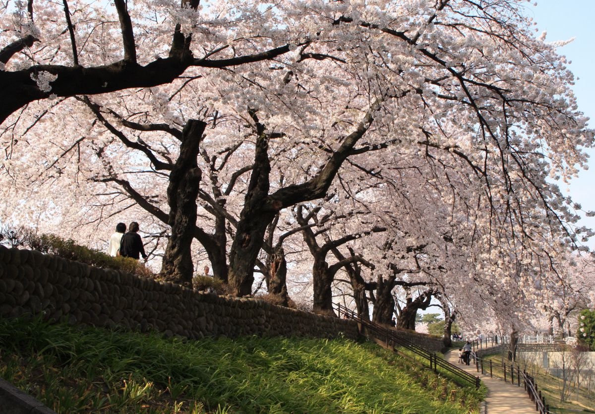 前橋公園（群馬県）