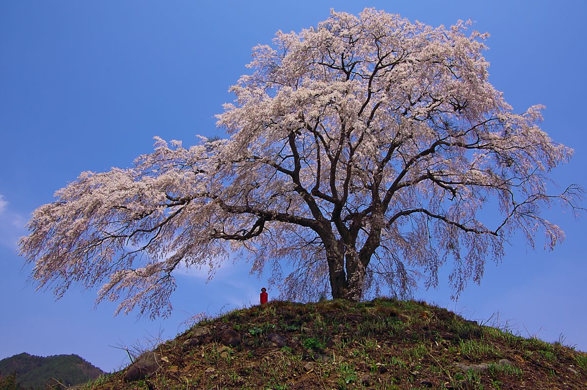 上発知（群馬県）