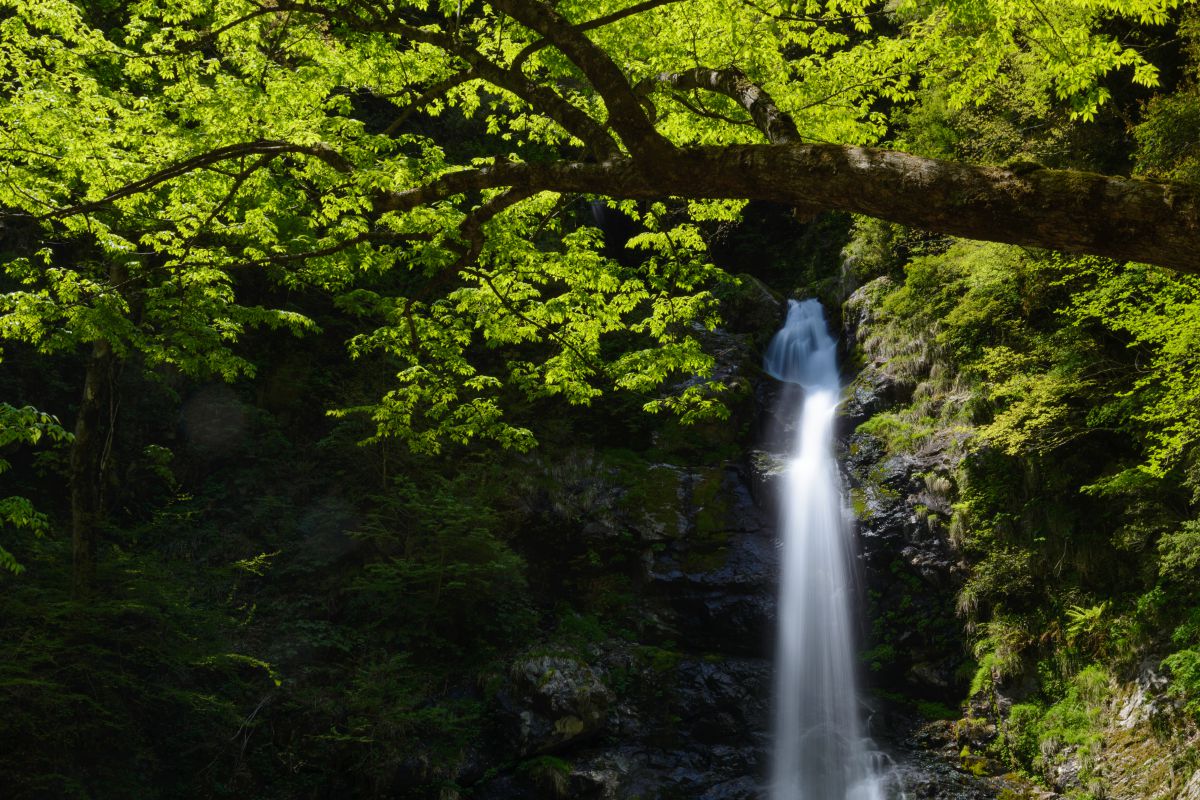 瀬戸の滝（広島県）