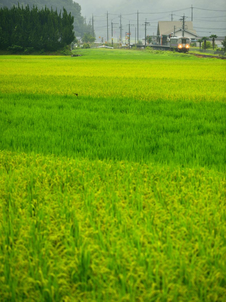 福塩線（広島県）