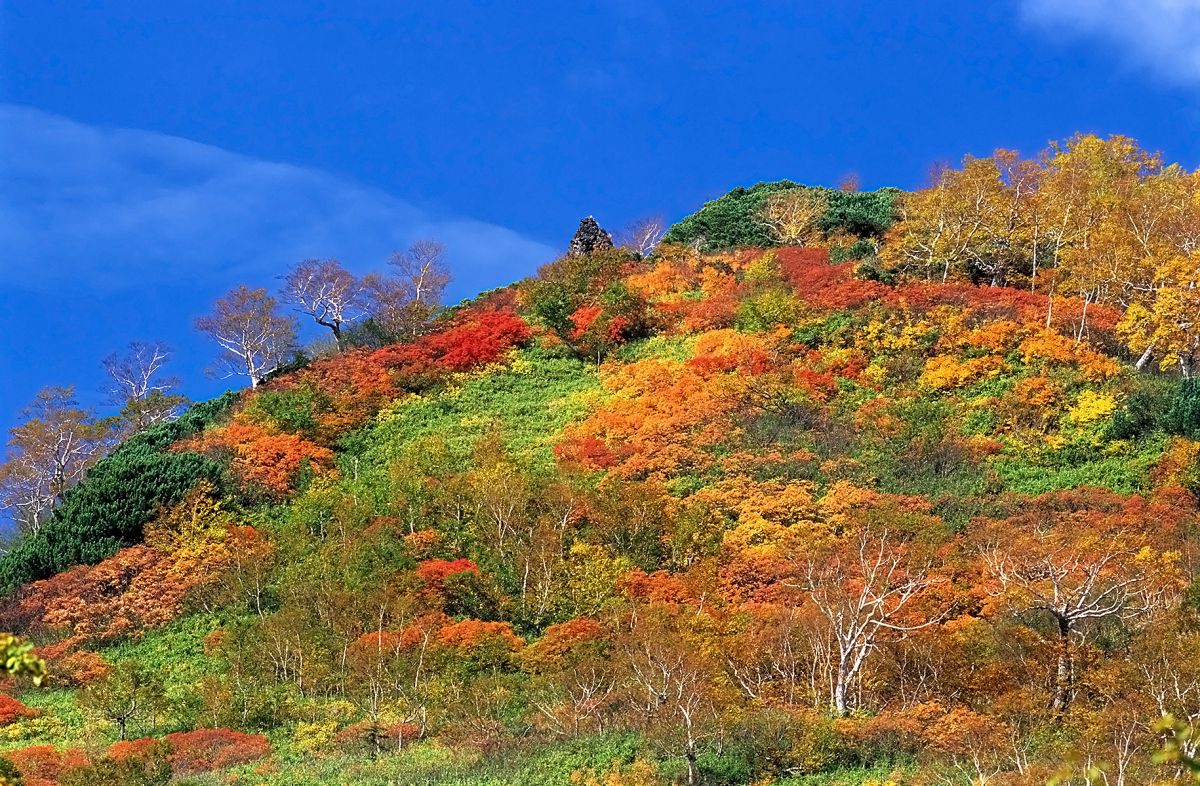 大雪山（北海道）