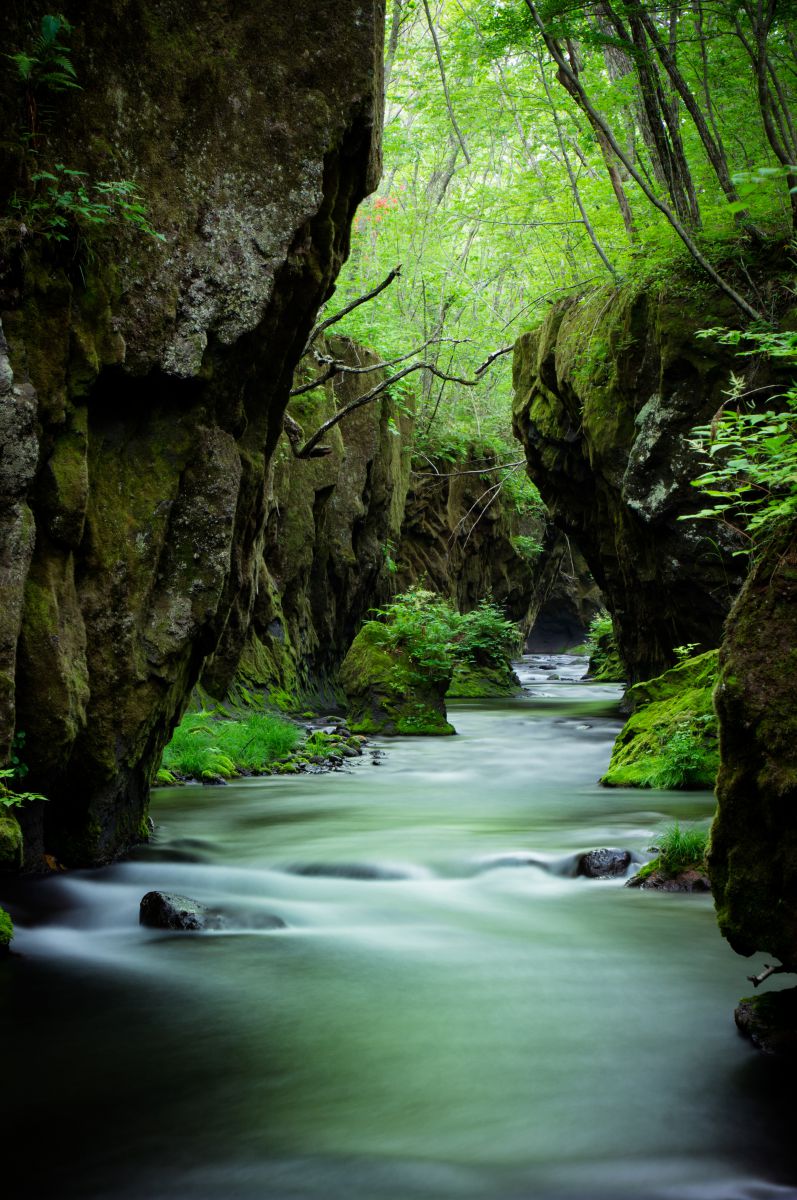 苫小牧（北海道）