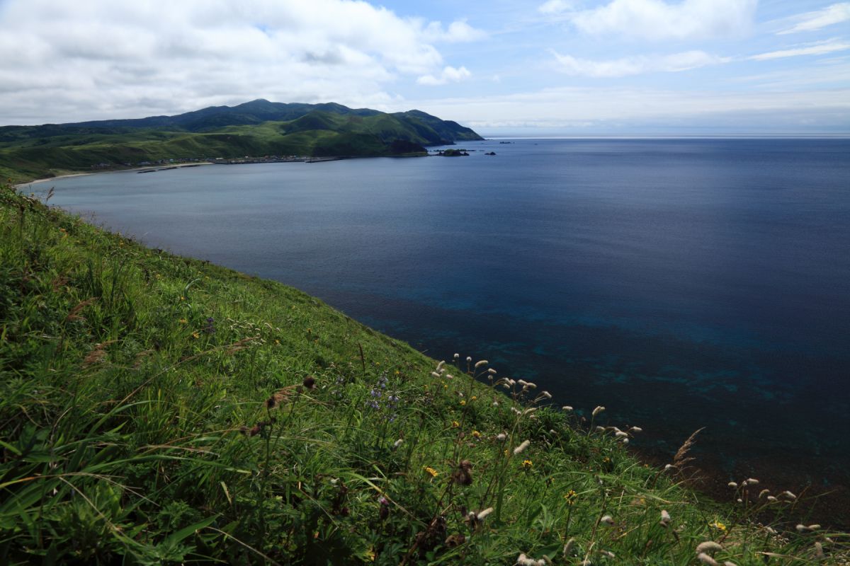 礼文島