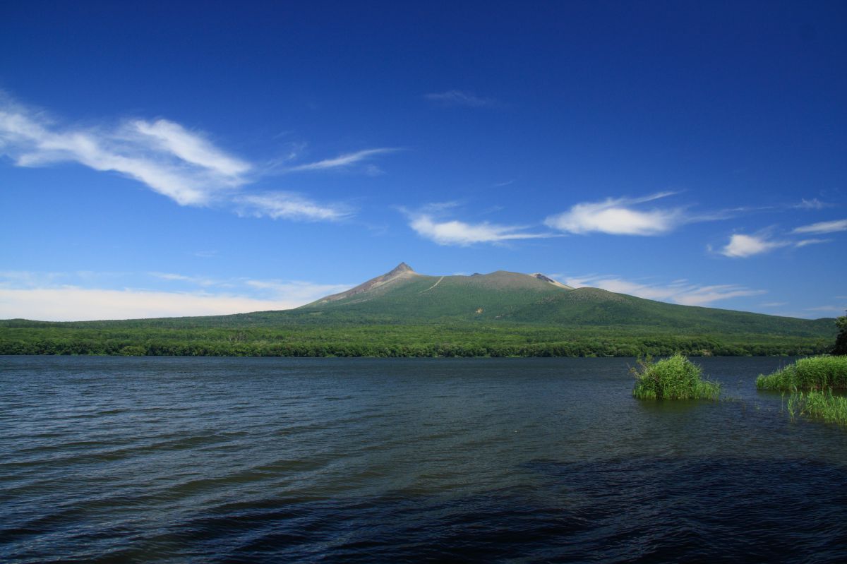 大沼（北海道）