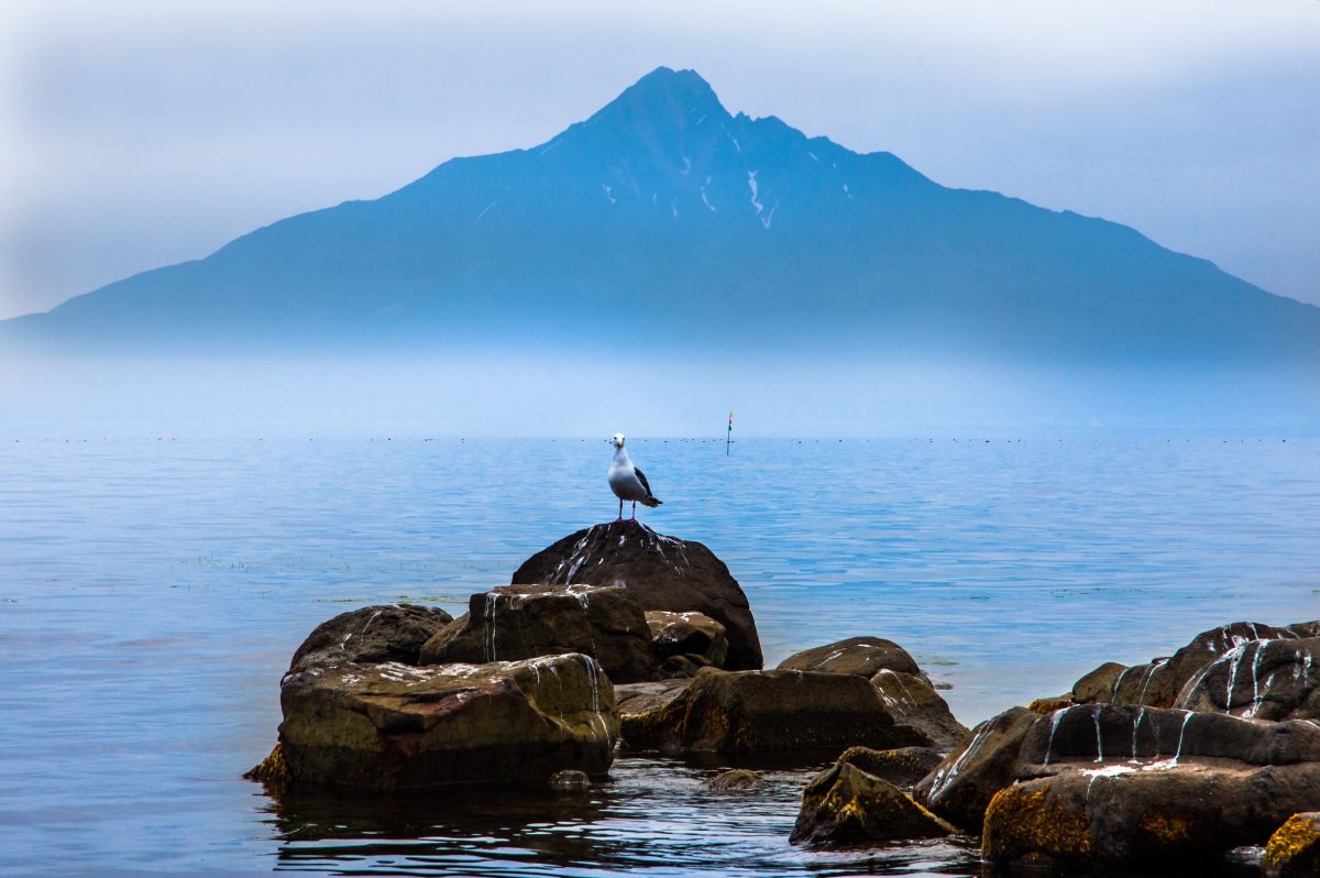 利尻島（北海道）