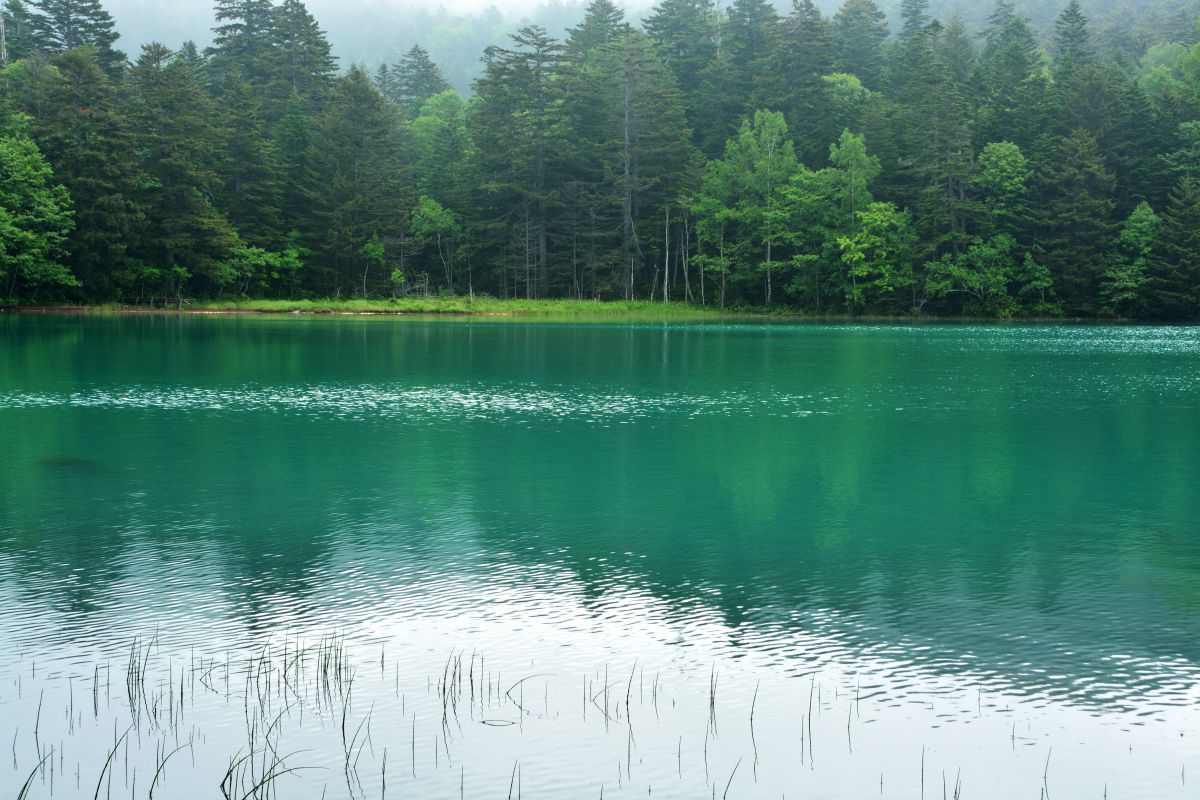 阿寒湖（北海道）