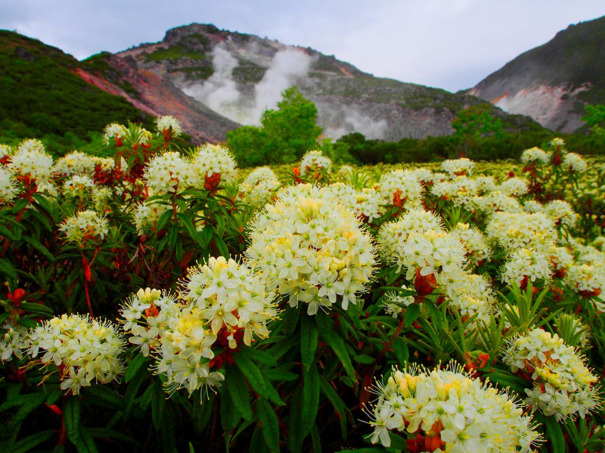 硫黄山（北海道）