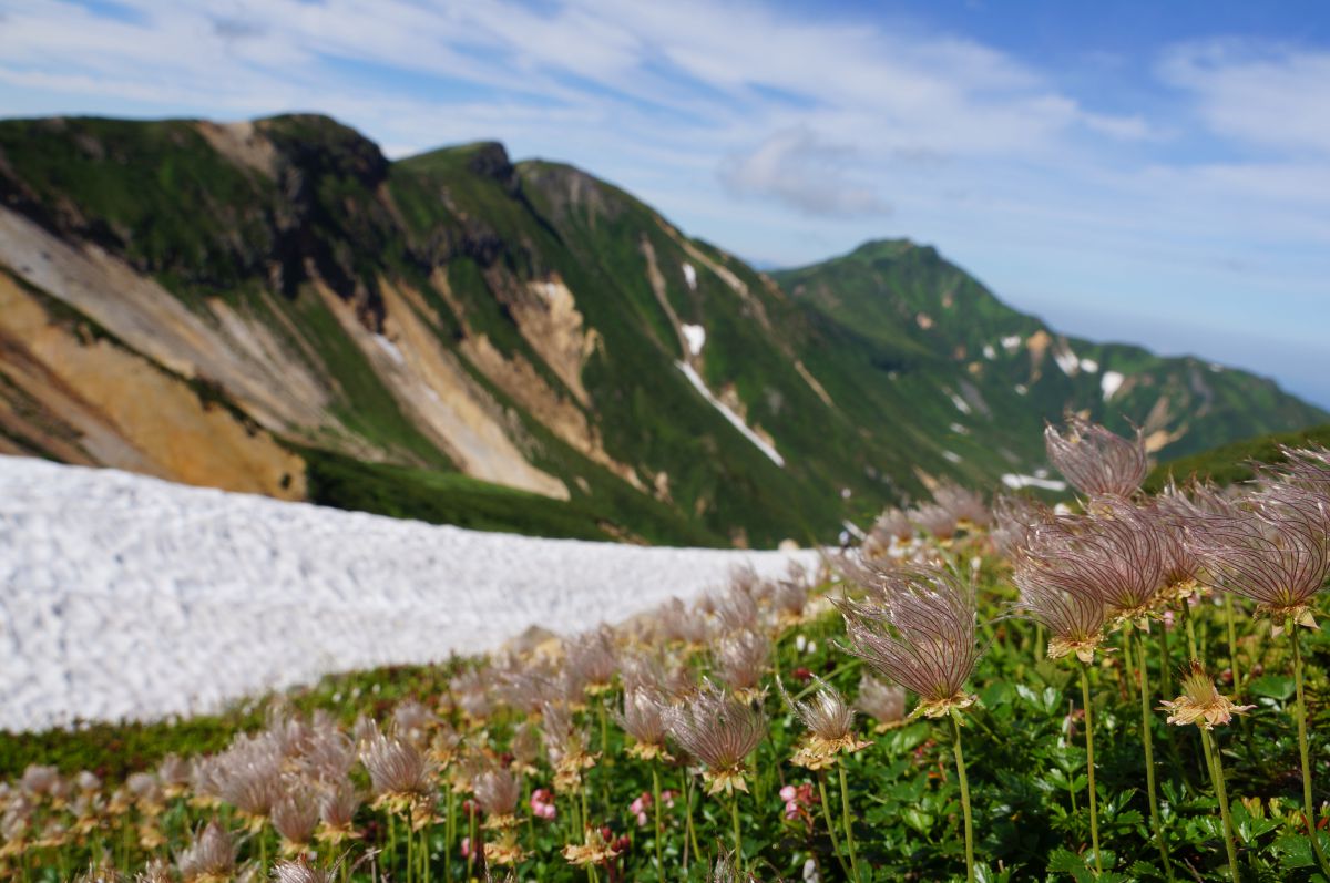 富良野岳（北海道）