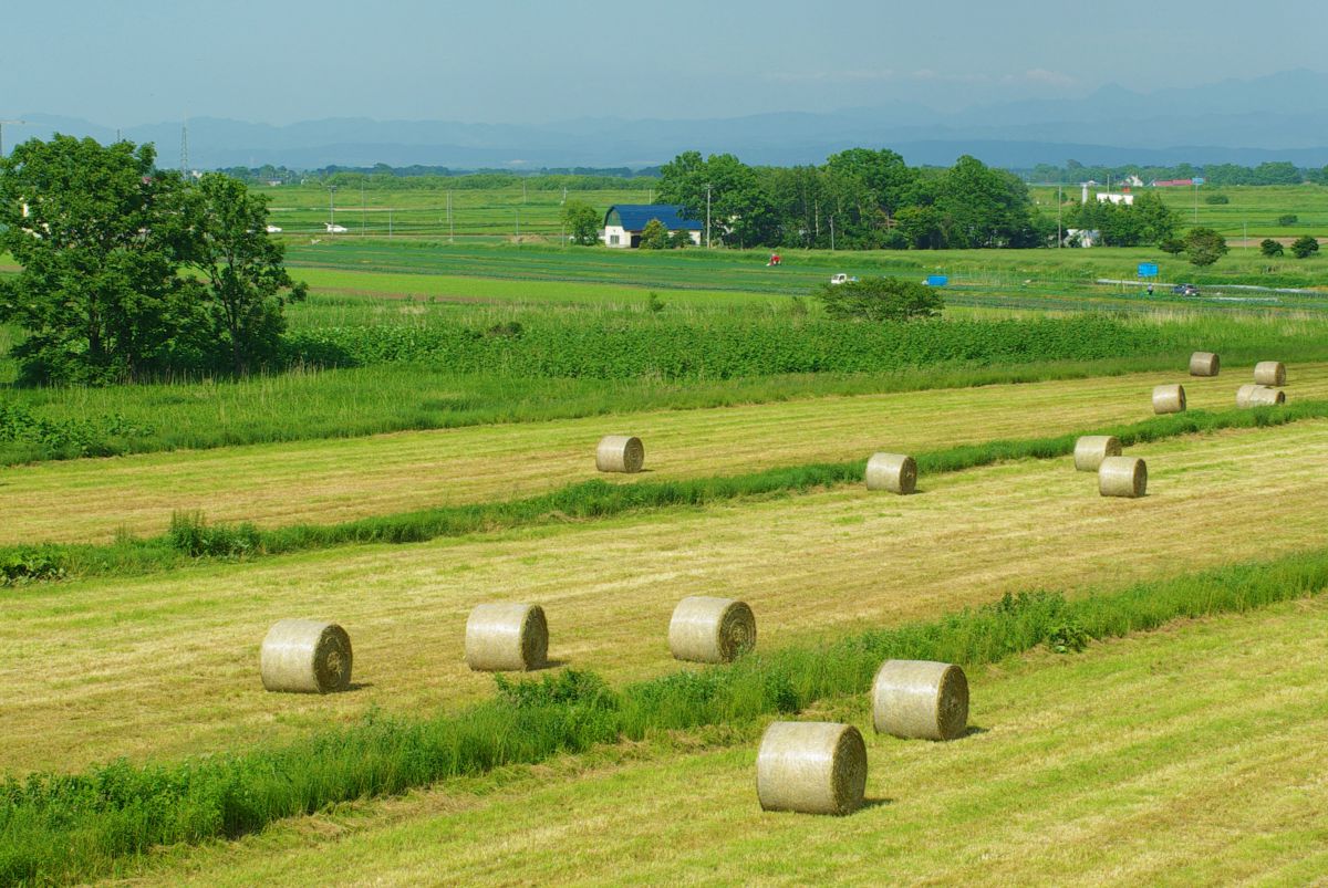 北海道　長沼