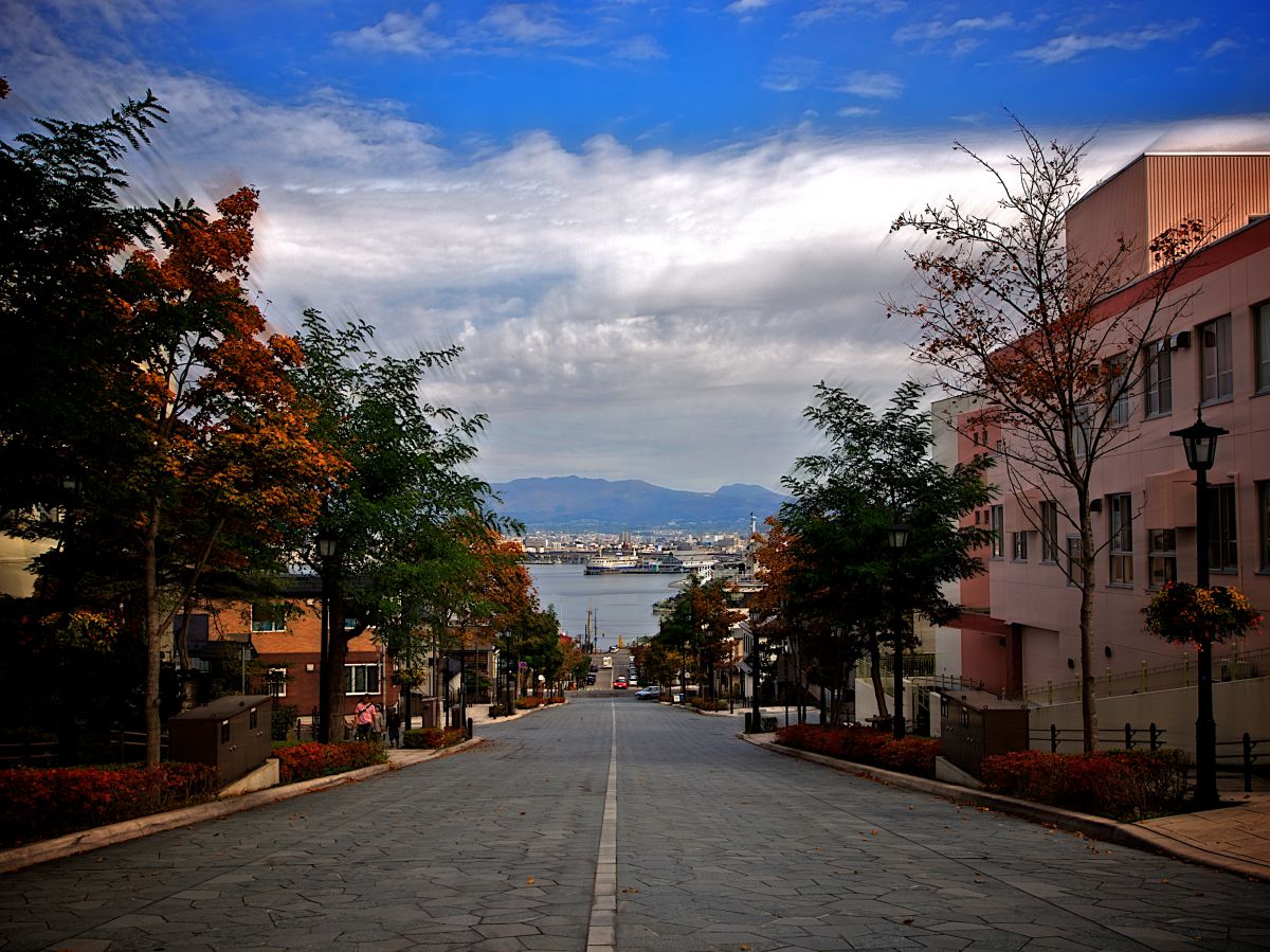 八幡坂（北海道）