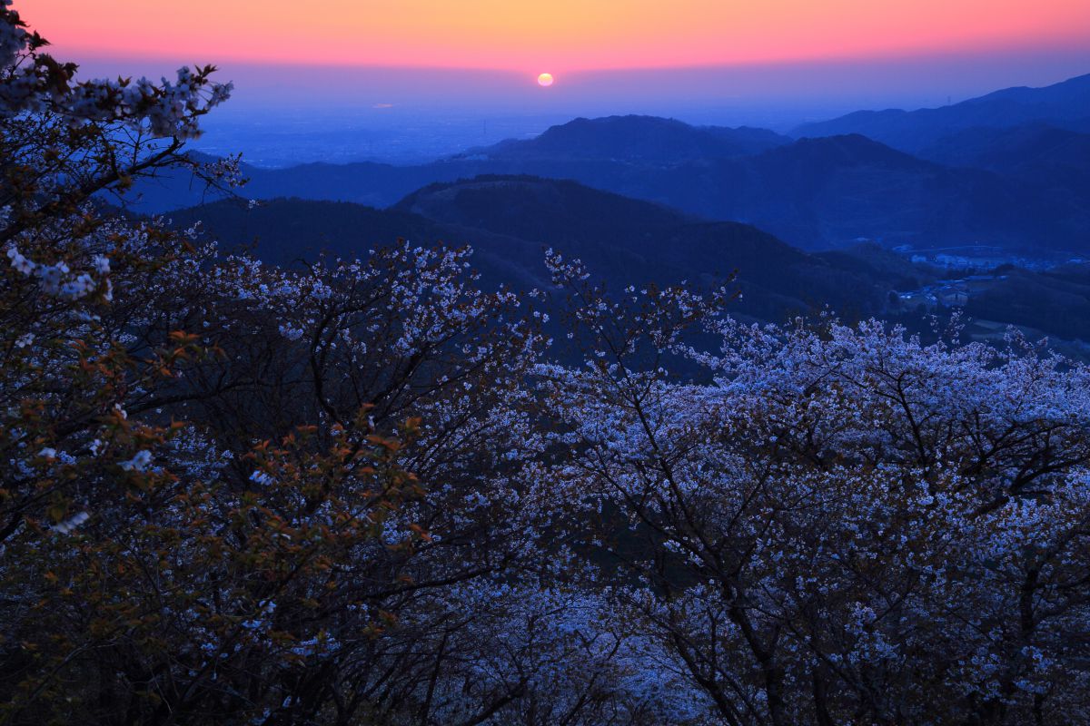 桜山公園（北海道）