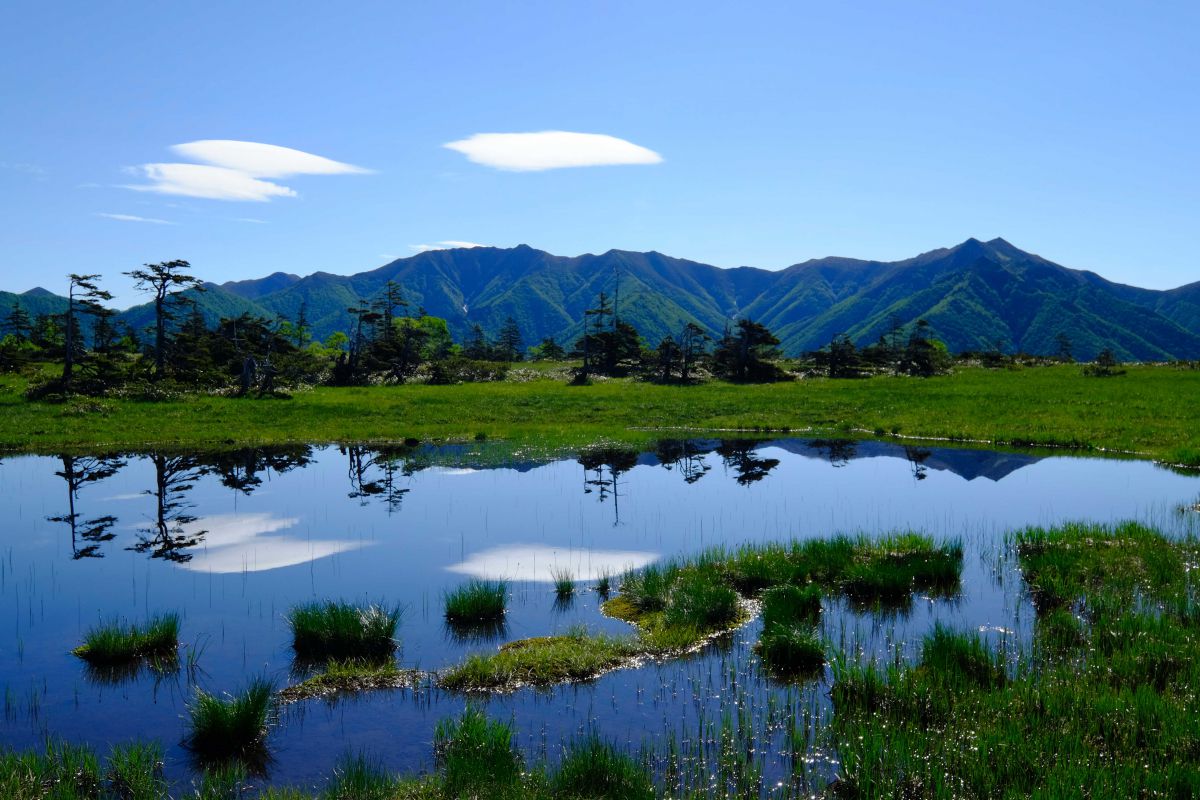 沼の原