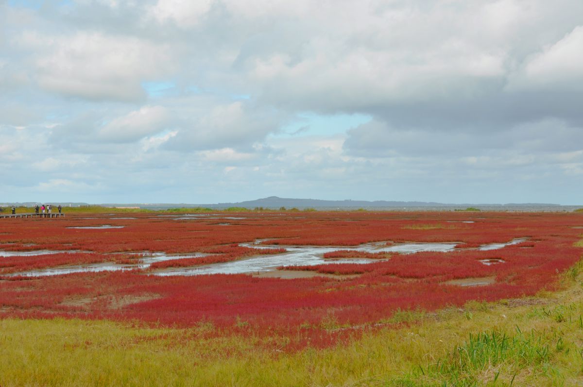 能取湖（北海道）