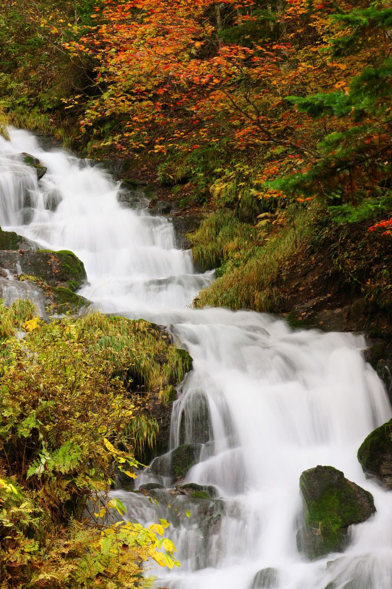 白金不動の滝（北海道）